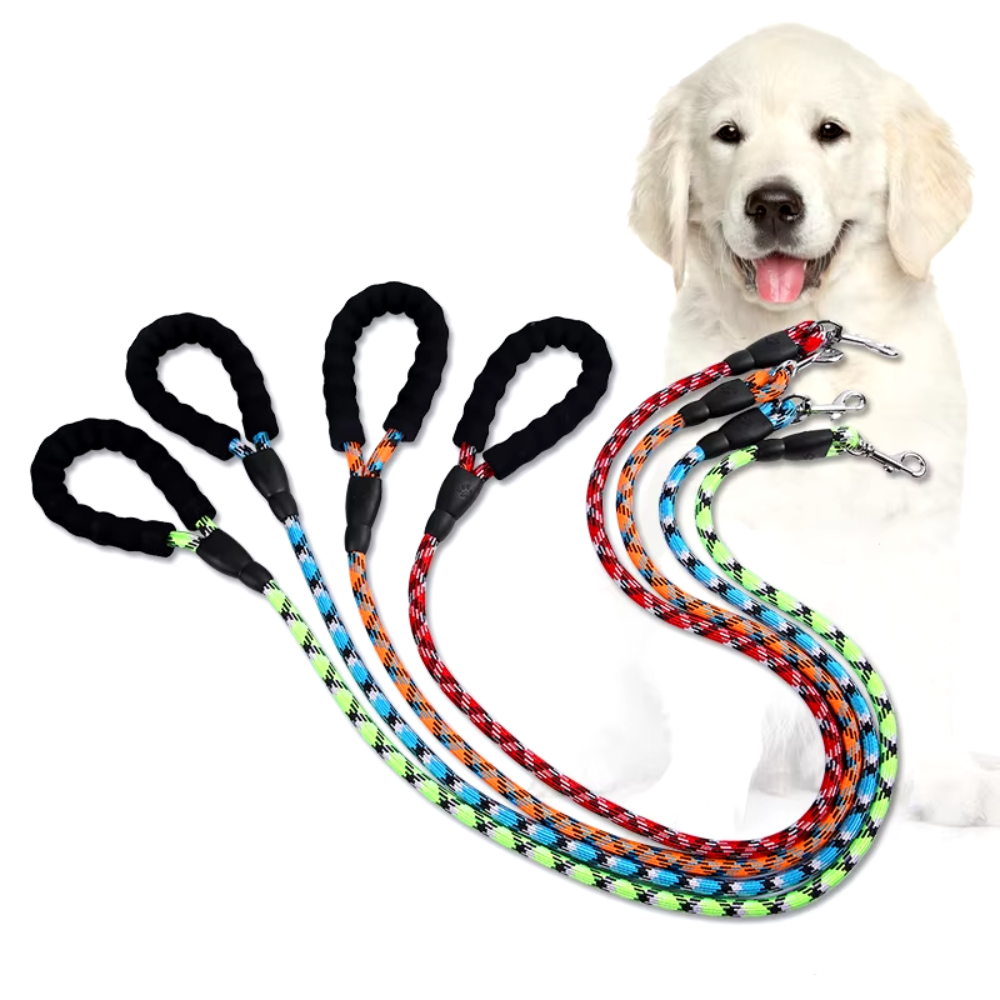 Pet leash / Harness / Collar